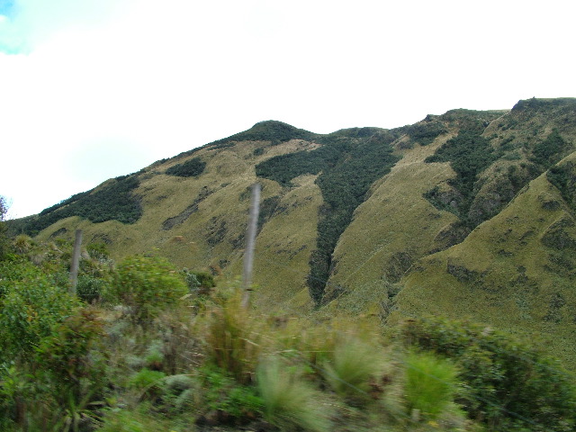 DSCF2724.JPG