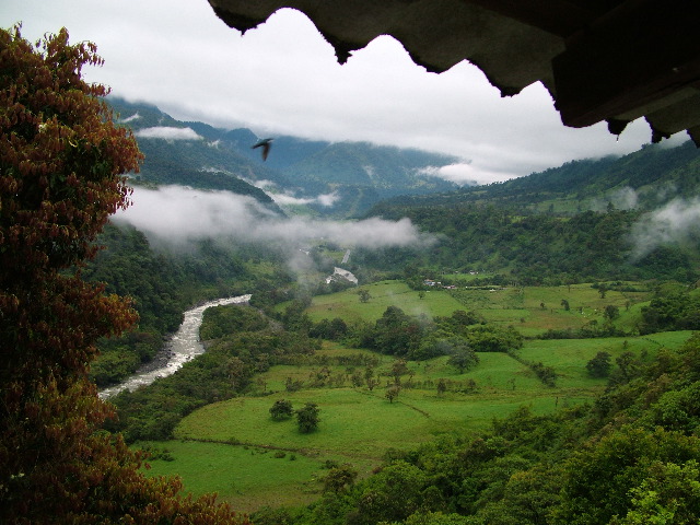 DSCF2729.JPG