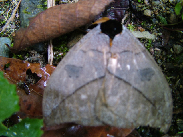 DSCF2731.JPG