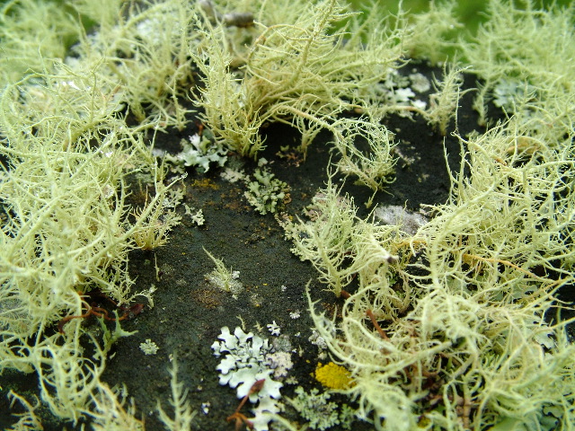 DSCF2733.JPG