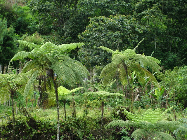 DSCF2736.JPG