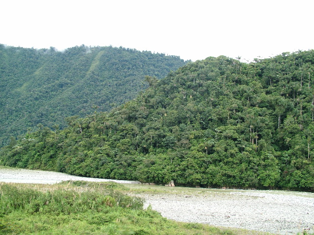 DSCF2741.JPG