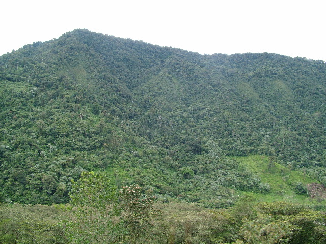 DSCF2745.JPG