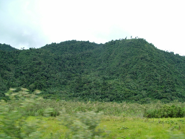 DSCF2746.JPG