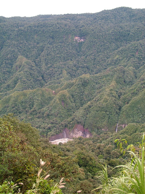 DSCF2750.JPG