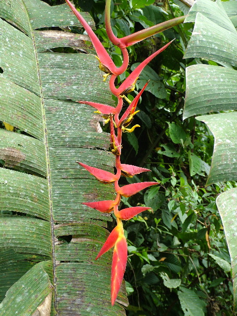 DSCF2752.JPG