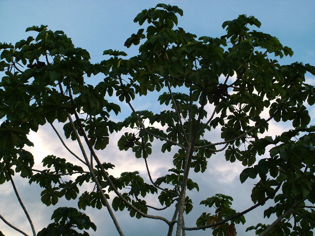 DSCF2767.JPG