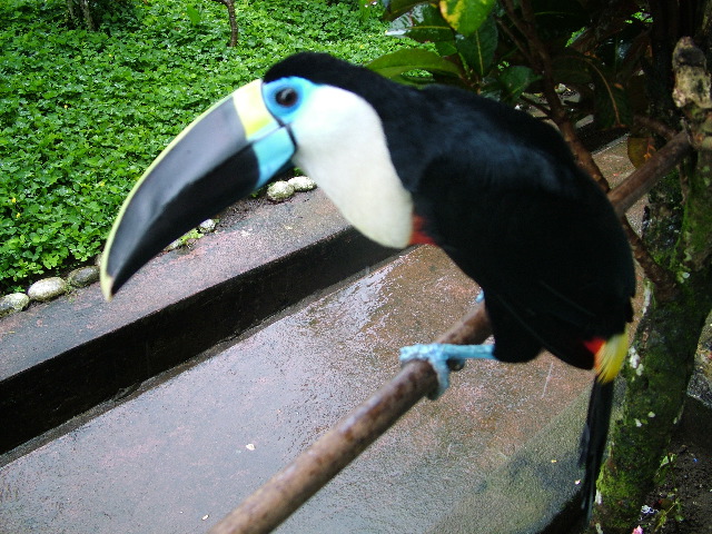 DSCF2771.JPG