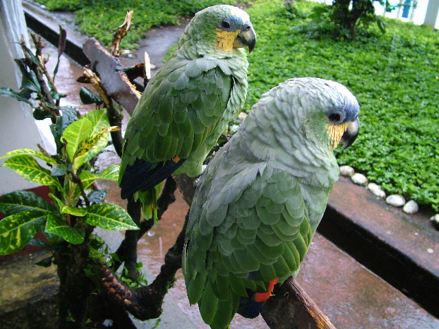 DSCF2773.JPG