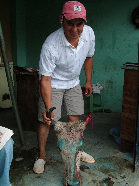 DSCF2783.JPG