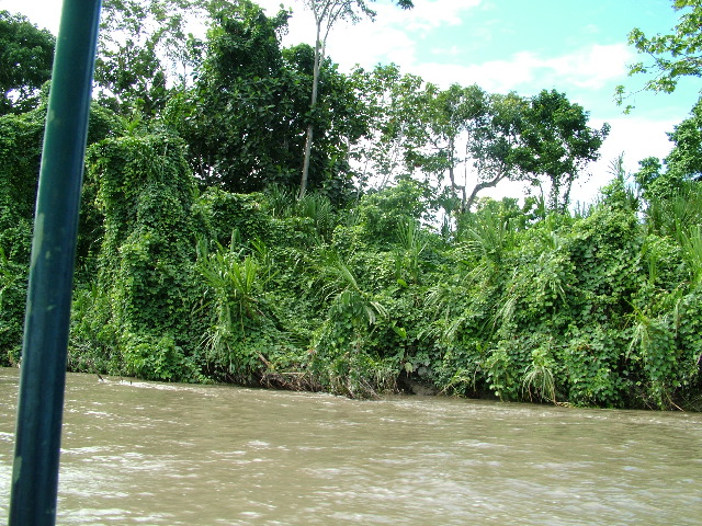 DSCF2795.JPG