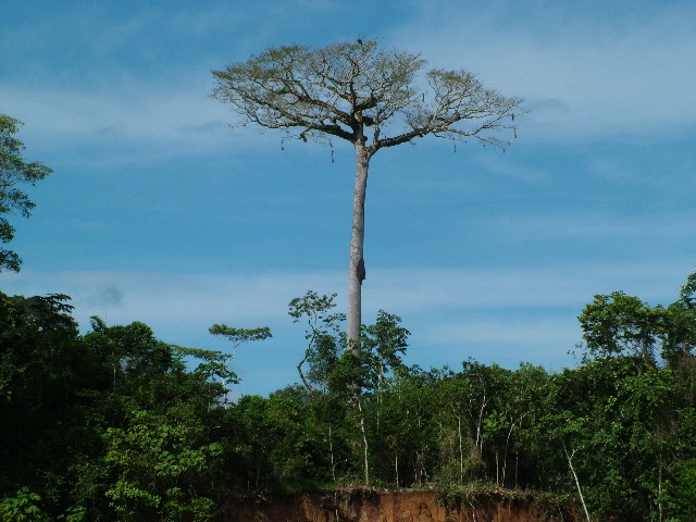 DSCF2797.JPG