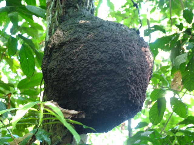 DSCF2805.JPG