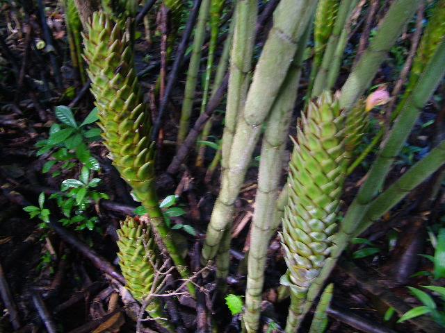 DSCF2806.JPG