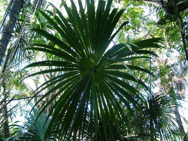 DSCF2811.JPG