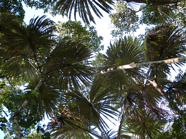 DSCF2812.JPG