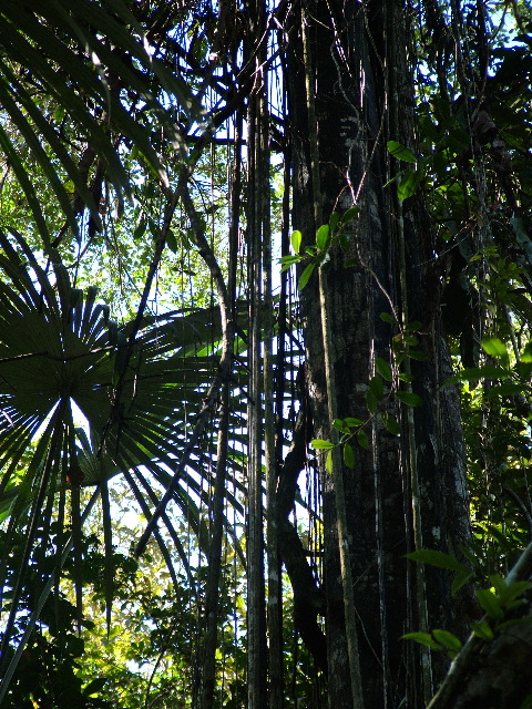 DSCF2813.JPG