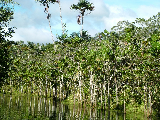 DSCF2814.JPG