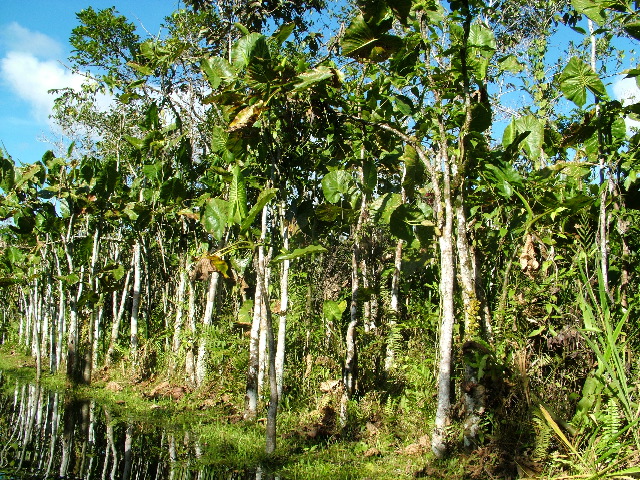 DSCF2816.JPG
