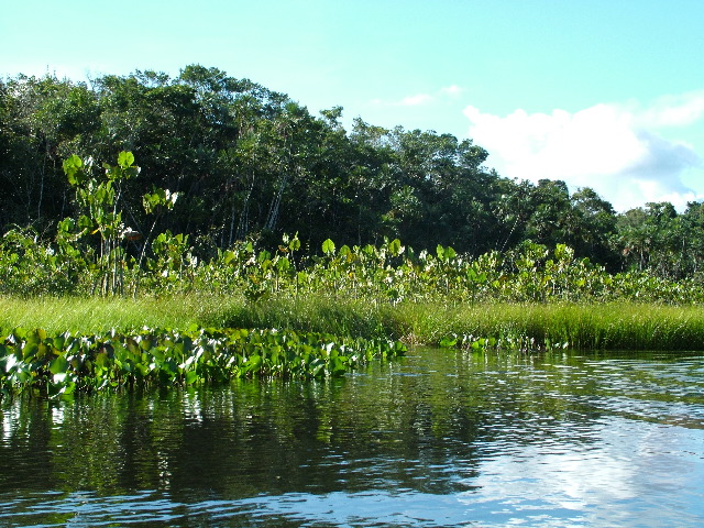 DSCF2822.JPG