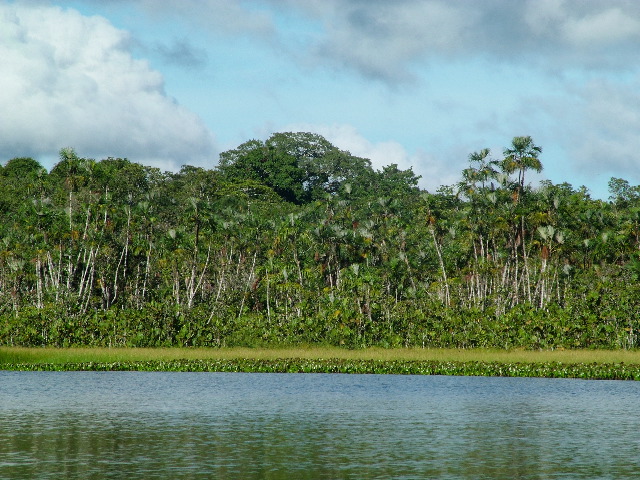 DSCF2824.JPG