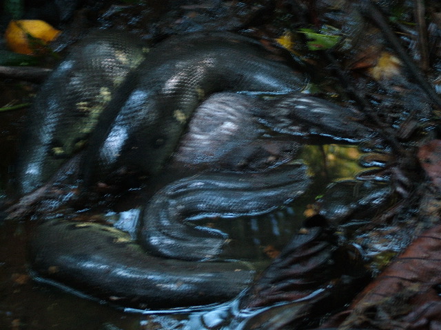 DSCF2838.JPG