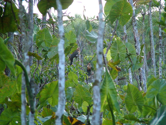 DSCF2845.JPG