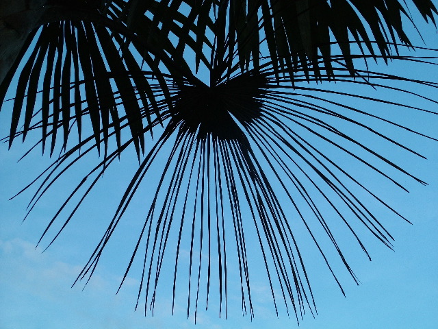 DSCF2848.JPG