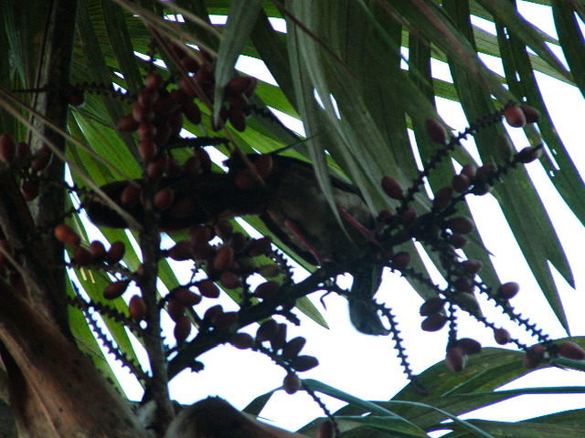 DSCF2850.JPG