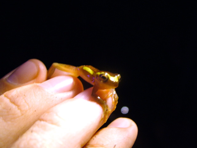 DSCF2851.JPG