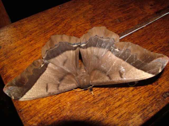 DSCF2853.JPG