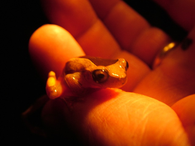 DSCF2856.JPG