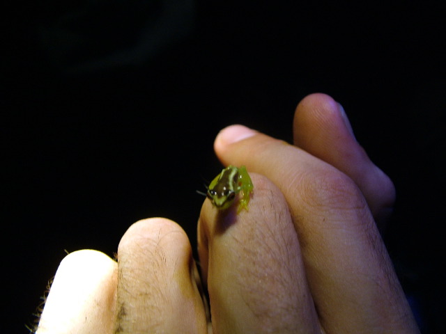DSCF2860.JPG