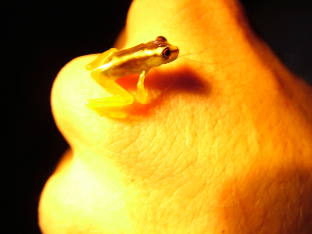 DSCF2862.JPG