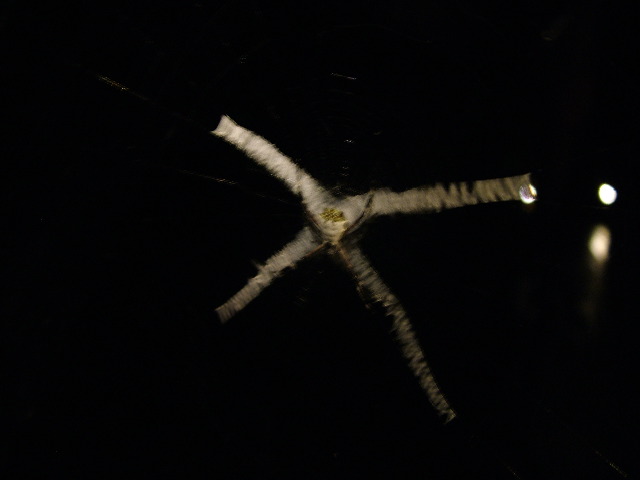 DSCF2865.JPG