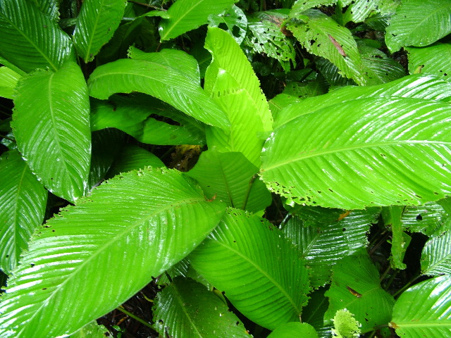 DSCF2869.JPG