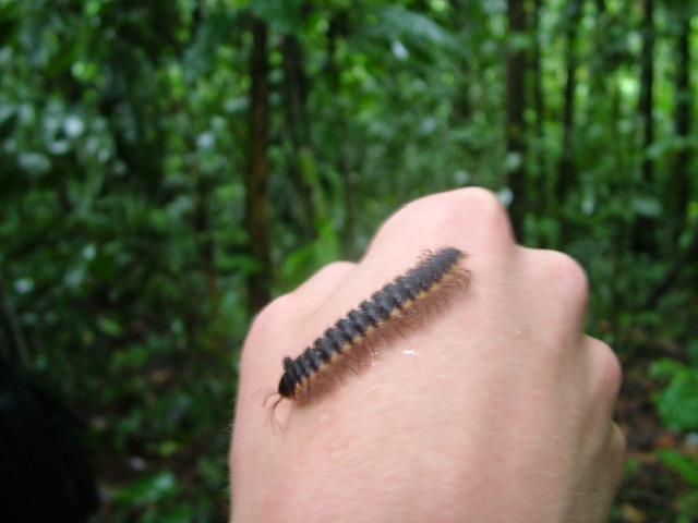 DSCF2871.JPG