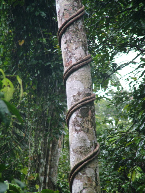 DSCF2880.JPG
