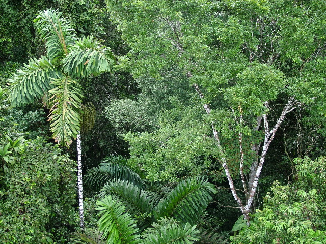 DSCF2882.JPG