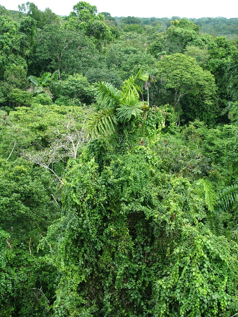 DSCF2883.JPG