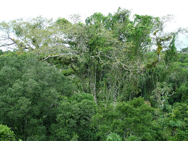 DSCF2887.JPG