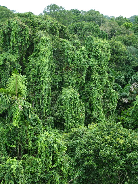 DSCF2888.JPG