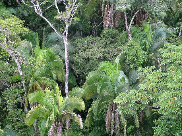 DSCF2889.JPG