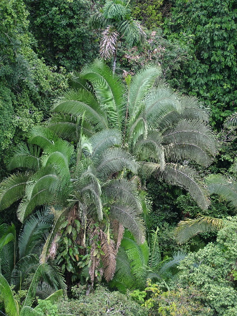 DSCF2890.JPG