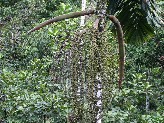 DSCF2891.JPG