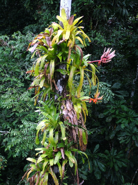 DSCF2892.JPG