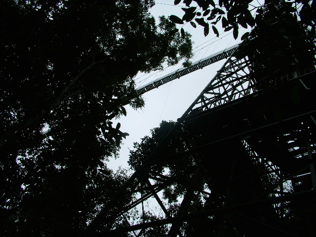 DSCF2895.JPG