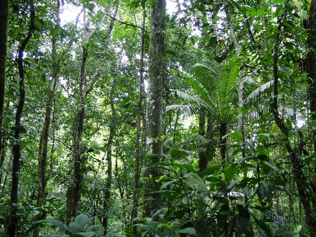 DSCF2899.JPG