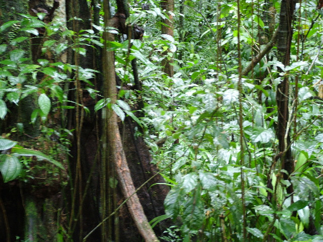 DSCF2901.JPG