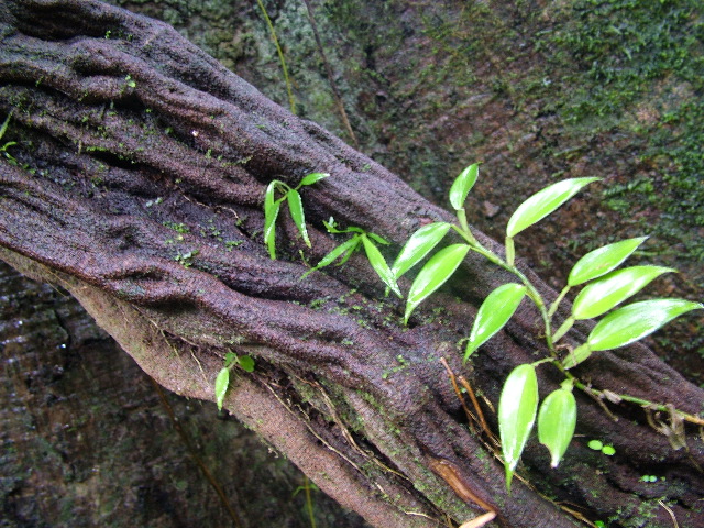 DSCF2903.JPG